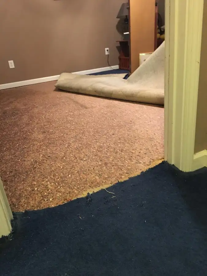 Carpet pad removal revealing water damage during Drying & Dehumidification in Berkley