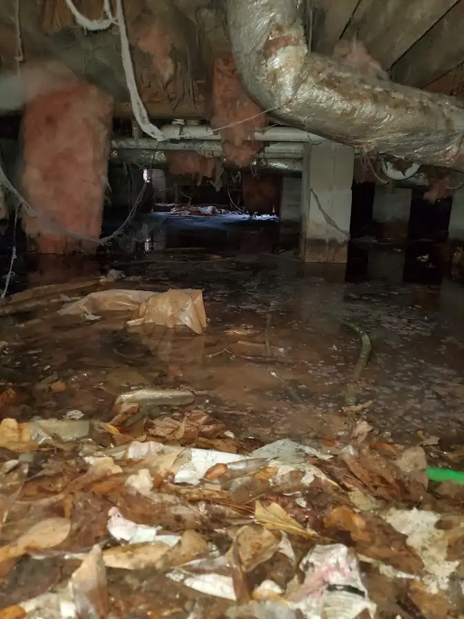 Crawl space flood assessment for Commercial Water Damage Restoration in Berkley